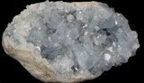 Celestine (Celestite) Geode - Icy Blue Crystals #37089-2